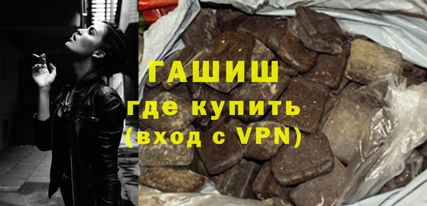 индика Няндома