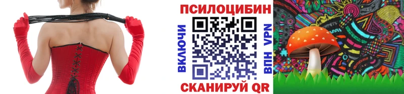 Купить где Усть-Илимск Галлюциногенные грибы GOLDEN TEACHER