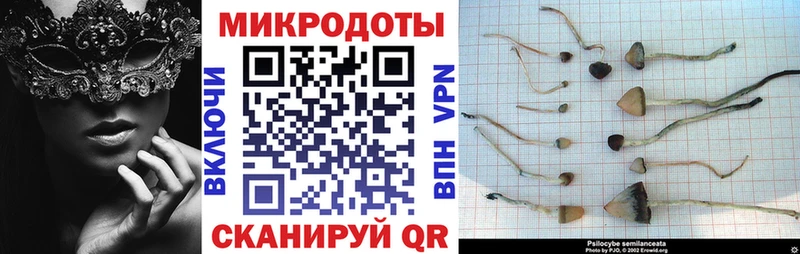 Псилоцибиновые грибы ЛСД Усть-Илимск